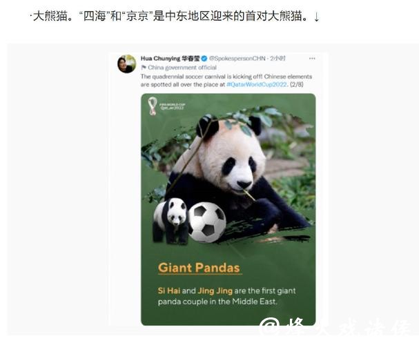 全面盘点世界杯买球平台推荐榜单精选